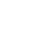nsi